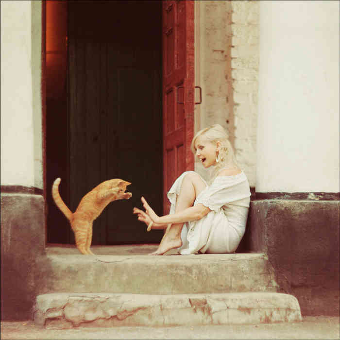 cats,animals,girls
