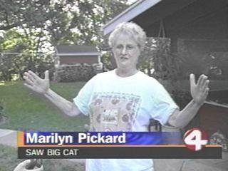 funny,granny,tv